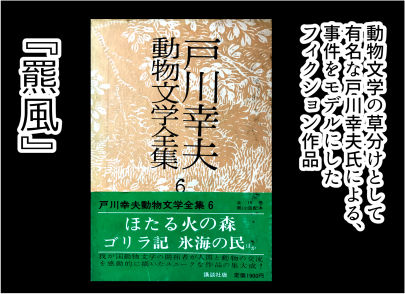 三毛別羆事件 2-5
