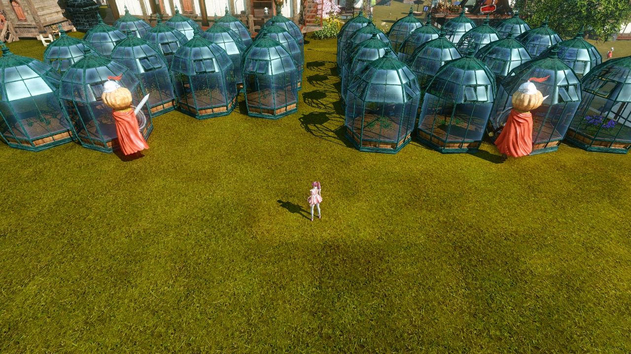 単品植えからの開放 大袈裟 W 日記