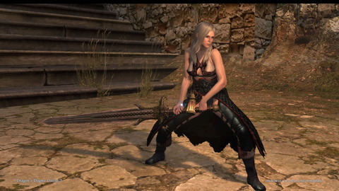 Dragon's Dogma Online__107