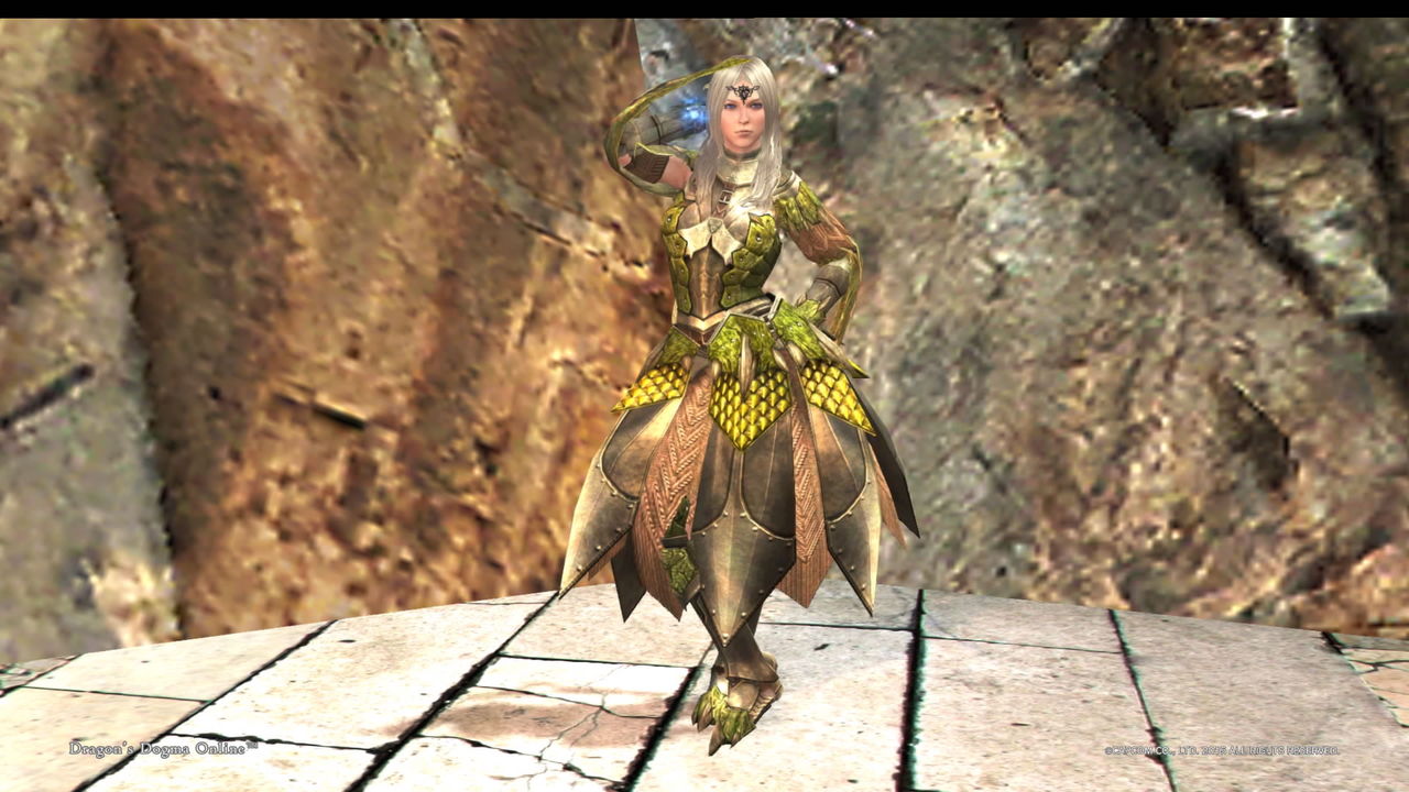 Ddon レウス レイア一式が完成 無形のマント をゲット Ddon道中記 攻略 情報 プレイ日記 Ddon レウス レイア一式が完成 無形のマント をゲット Ddon道中記 攻略 情報 プレイ日記