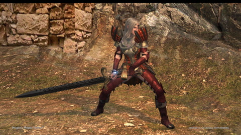 Dragon's Dogma Online__182