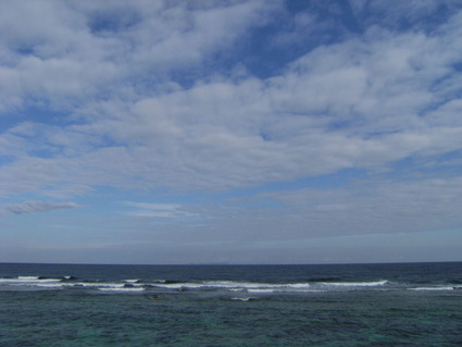 DSCF2801