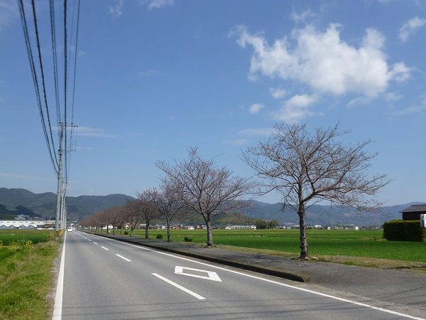 イメージ 3