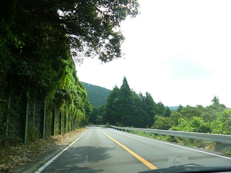 イメージ 16