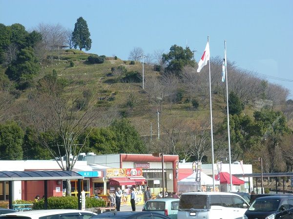 イメージ 3