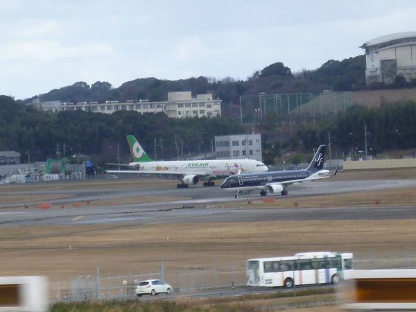 イメージ 7