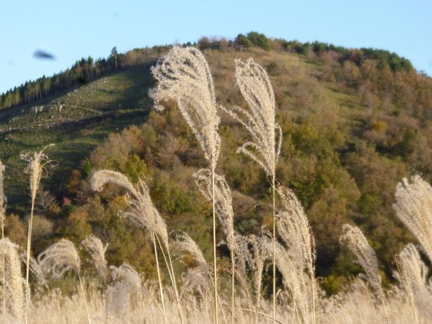 P1080552