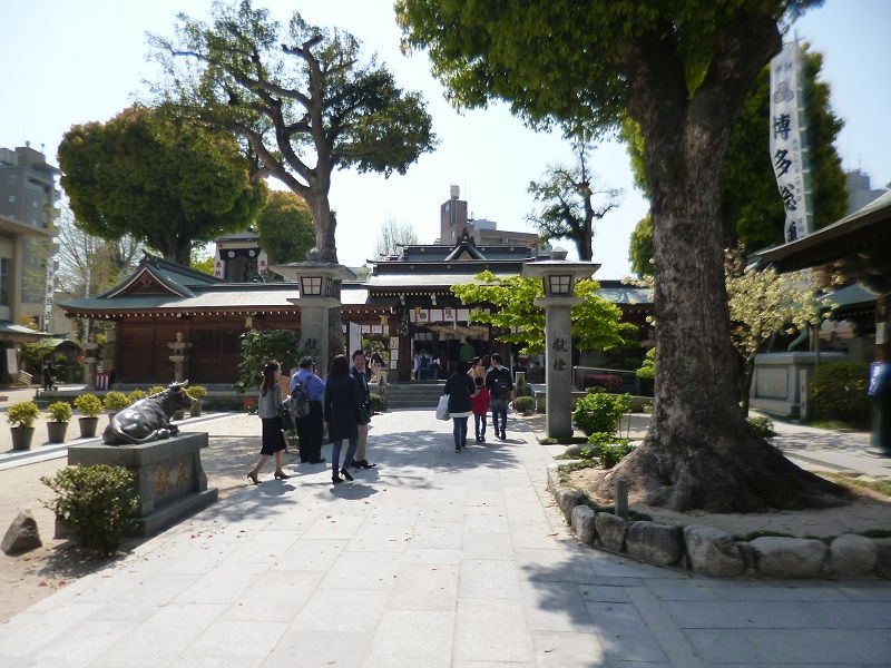 イメージ 4