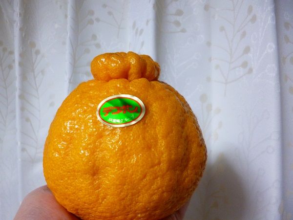 イメージ 3