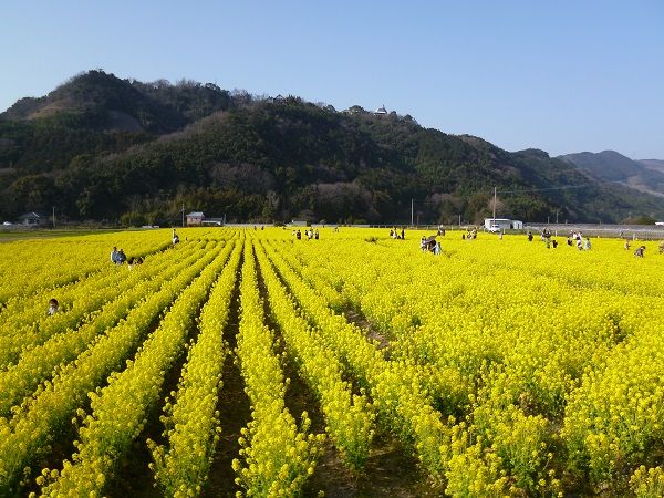 イメージ 1