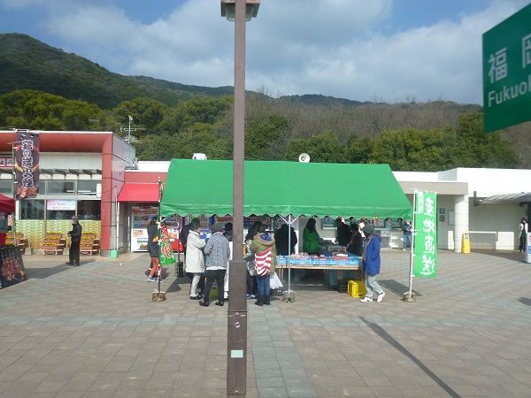 イメージ 6