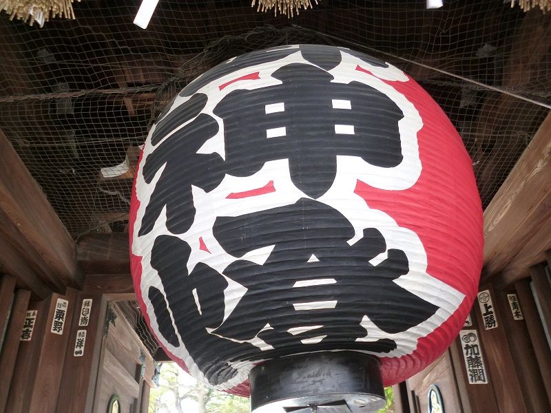 イメージ 5