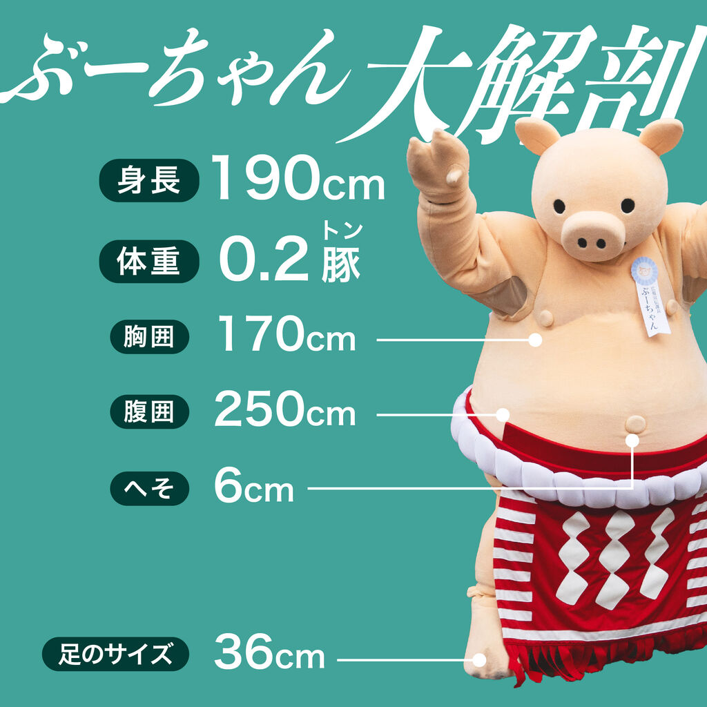 ぶーちゃんのプロフィール大・公・開 📣🐷 : ぶーちゃんブログ