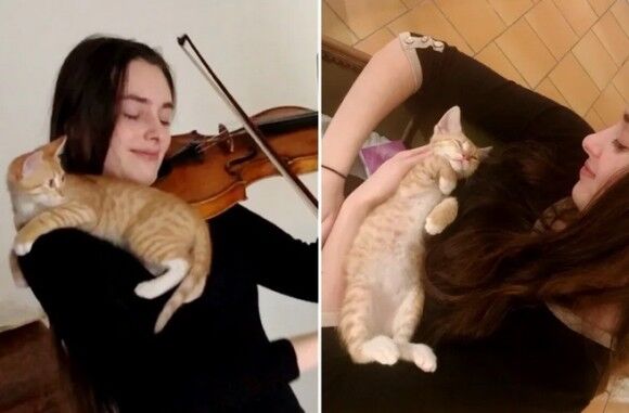 保護された子猫、バイオリニストが仮里親になったところ、バイオリン大好き猫に！（フランス）