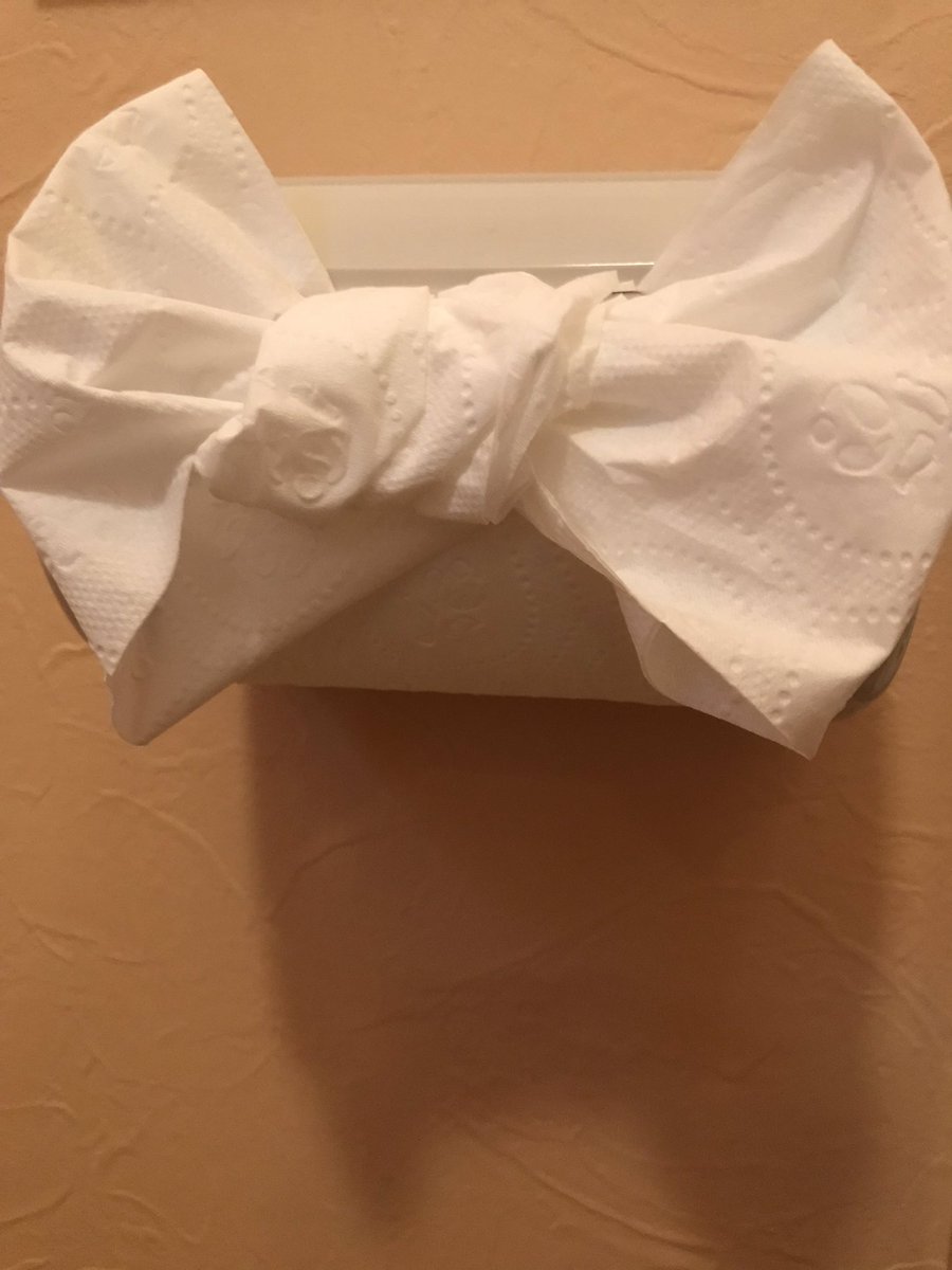やばたんまとめ 悲報 トイレットペーパーで するという 汚すぎる行為が女子の間で流行 Livedoor Blog ブログ