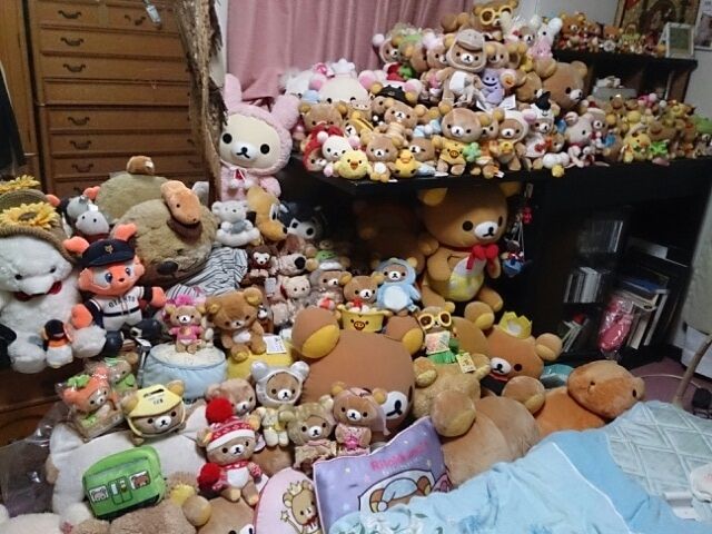 画像あり ５年ぶりに妹の部屋入った結果ｗｗｗ グロ注意 ヤバスギ速報