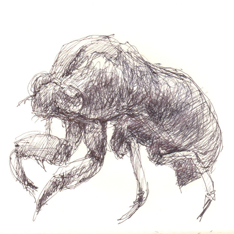 うつせみの こころすてたる かるさかな 妄想の荒野 矢端想のブログ