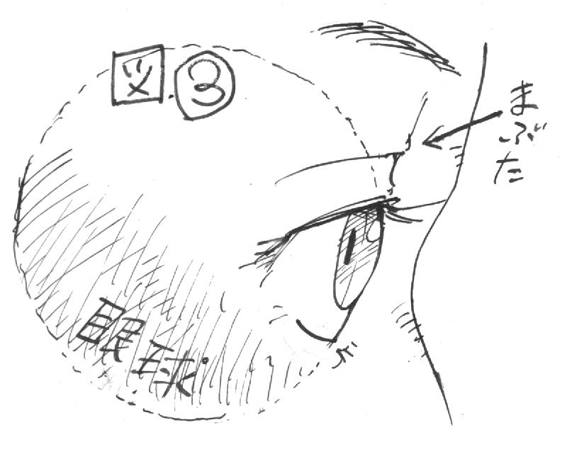 絵が上手く見えるテクニック講座 8 人体 目 妄想の荒野 矢端想のブログ