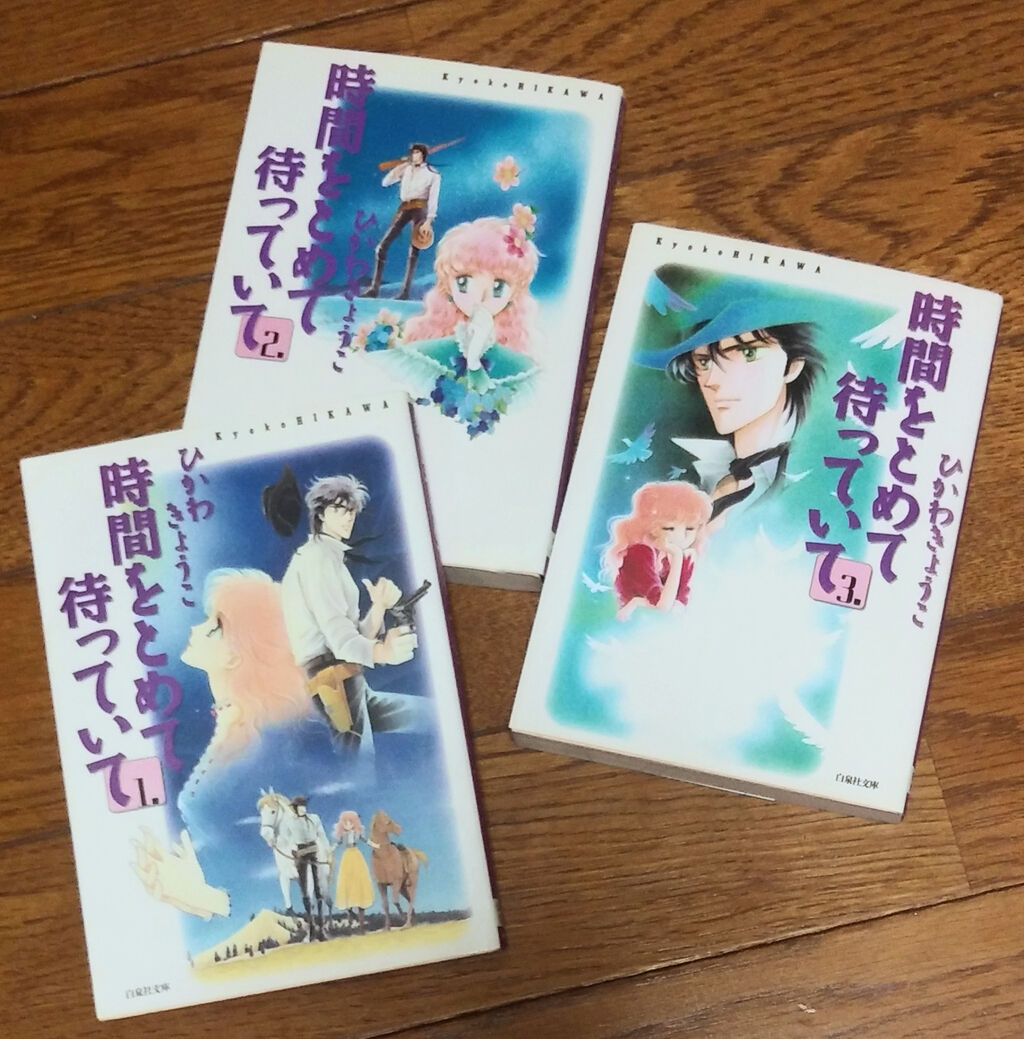 ひかわきょうこ 時間をとめて待っていて 妄想の荒野 矢端想のブログ ひかわきょうこ 時間をとめて待っていて 妄想の荒野 矢端想のブログ