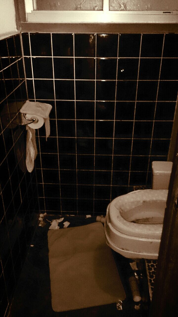 37日目 汚トイレ 閲覧注意 かなり酷い汚写真アリ アラフォー主婦の汚家からの脱出奮闘記