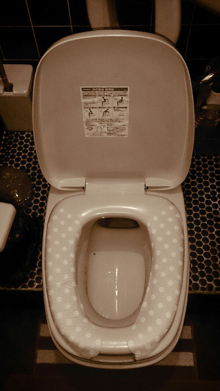 37日目 汚トイレ 閲覧注意 かなり酷い汚写真アリ アラフォー主婦の汚家からの脱出奮闘記 37日目 汚トイレ 閲覧注意 かなり酷い汚写真アリ アラフォー主婦の汚家からの脱出奮闘記