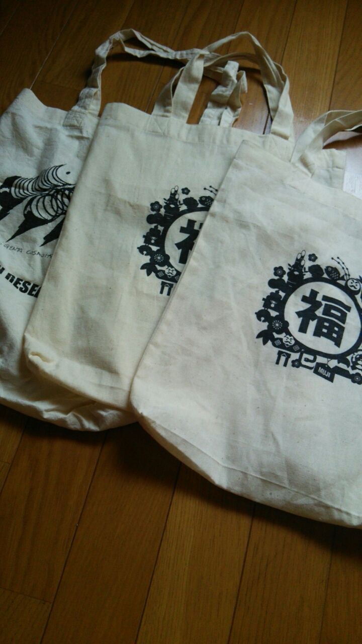 行動124日目 即決できたバッグや雑誌付録バッグなど さっさと捨てる 捨てno 851 868 ひょっとして我が家も汚部屋かも