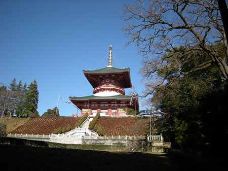 ���Ļ����फ�鸫��ʿ������