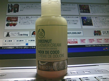 THE BODY SHOPʥܥǥåסˤΥʥå ꡼