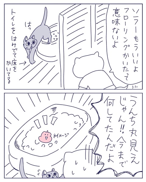 IMG_3470-min