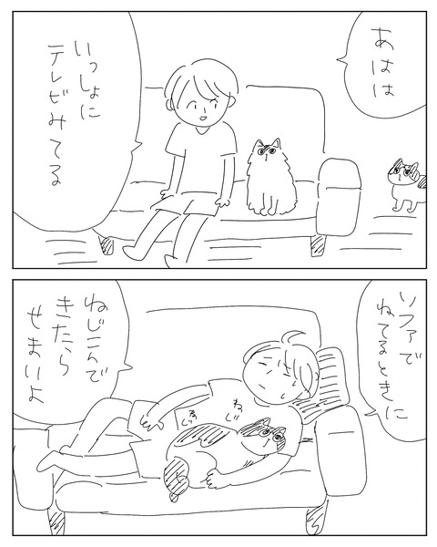 IMG_2146-min