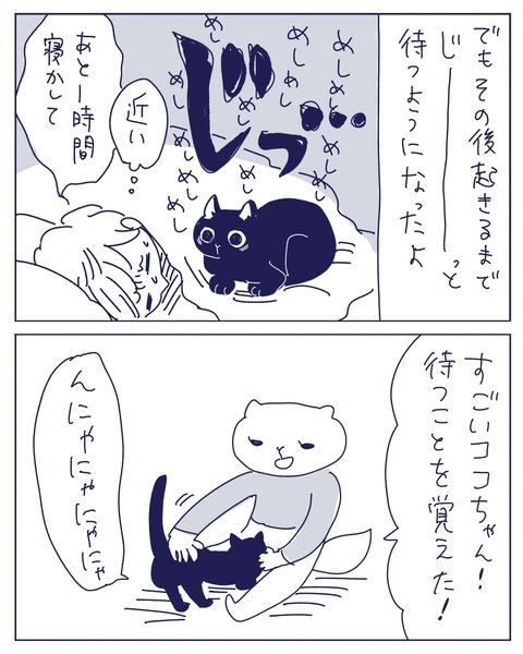 IMG_3465-min