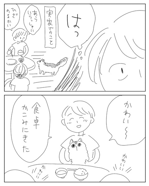 IMG_2145-min