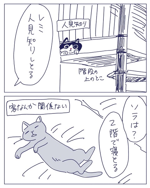IMG_2450-min