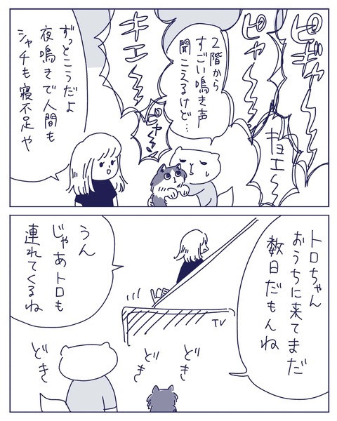 IMG_3395-min
