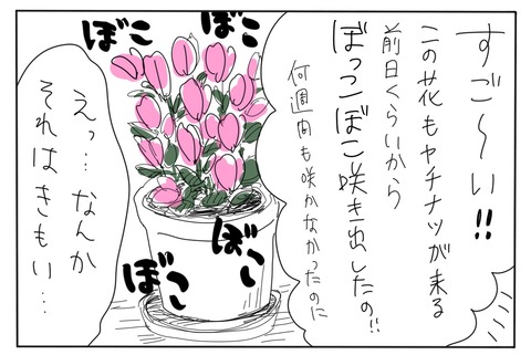 2_2