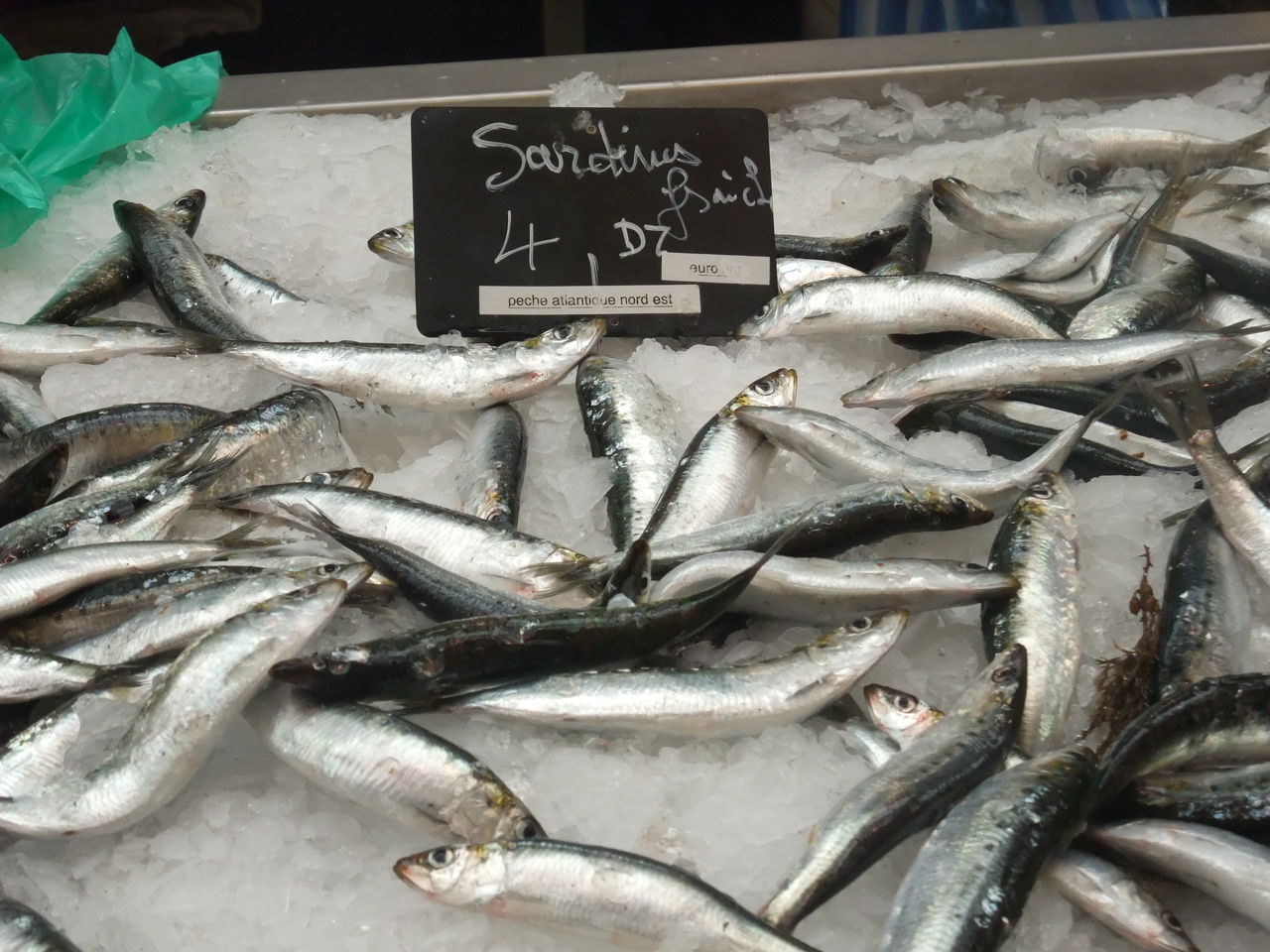 ブルターニュの夏の魚 : シャルバーグ八千代の＜フランスの田舎から＞