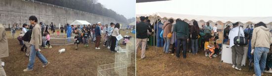 241102-11.hayamimi.jpg