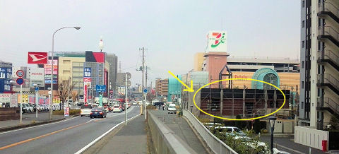 230115-2.hayamimi.jpg