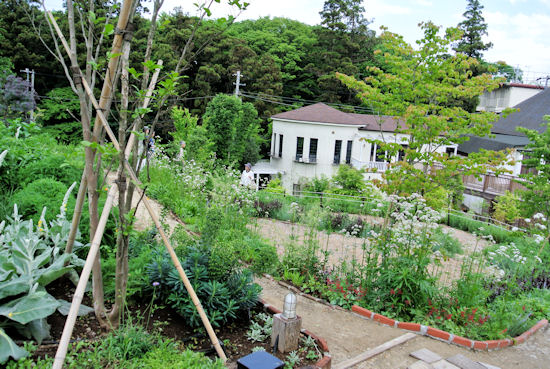 240520-5.hayamimi.jpg