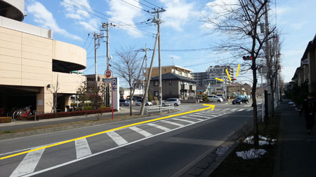 260219-2.hayamimi.jpg