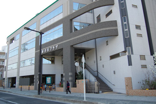 250416-3.hayamimi.jpg