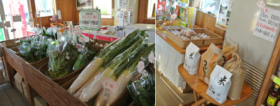 241213-2.hayamimi.jpg