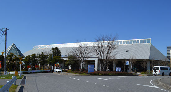 260516-3.hayamimi.jpg