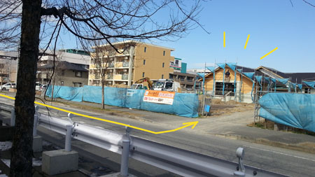 260219-4.hayamimi.jpg