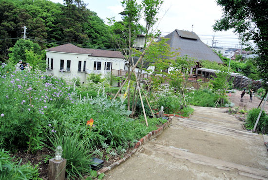 240520-3.hayamimi.jpg