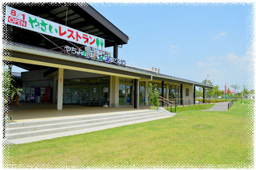 260730-2.hayamimi.jpg
