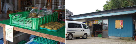 220520-hayamimi.jpg