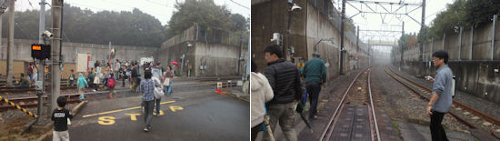241102-3.hayamimi.jpg