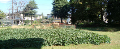 201029-yochien.10.jpg