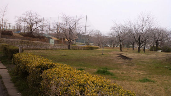 230320-8.machinami.jpg